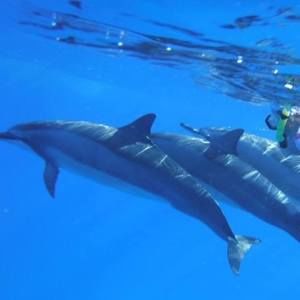 Meet your Posher, Anne